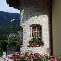 Bianco Asiago